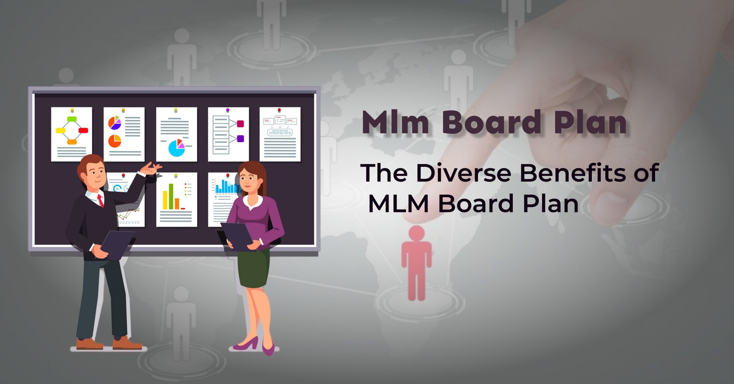 MLM Board Plan