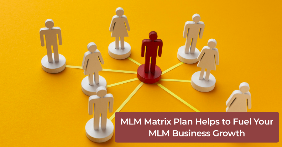 MLM Matrix Plan