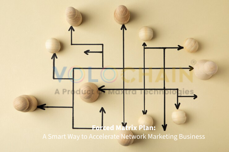 Forced Matrix Plan: A Smart Way to Accelerate Network Marketing Business