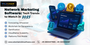 MLM Software in India