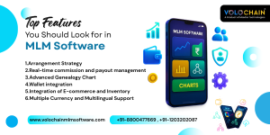 MLM Software 