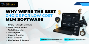 MLM software company