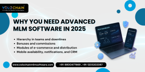 MLM Software Provider in India