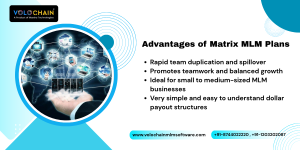 Matrix Mlm Software Plan