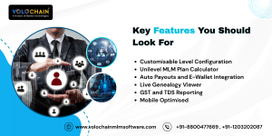 MLM Software 