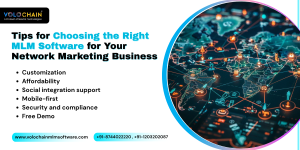MLM Software Provider in India