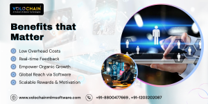 mlm software in india