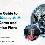 Spill Over Binary MLM Software Demo