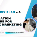 MLM Matrix Plan