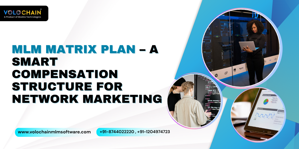 MLM Matrix Plan