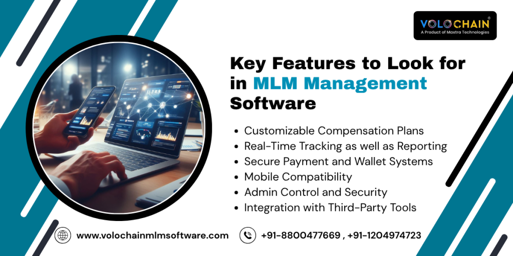  MLM Software 