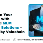 MLM Software Solutions