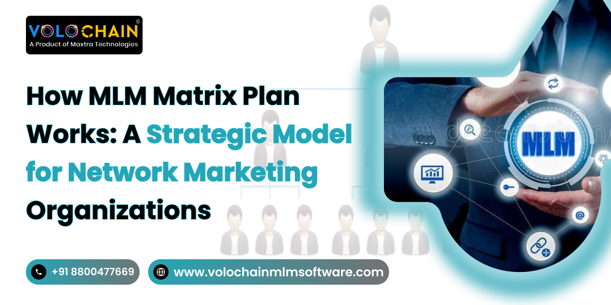 MLM Matrix Plan