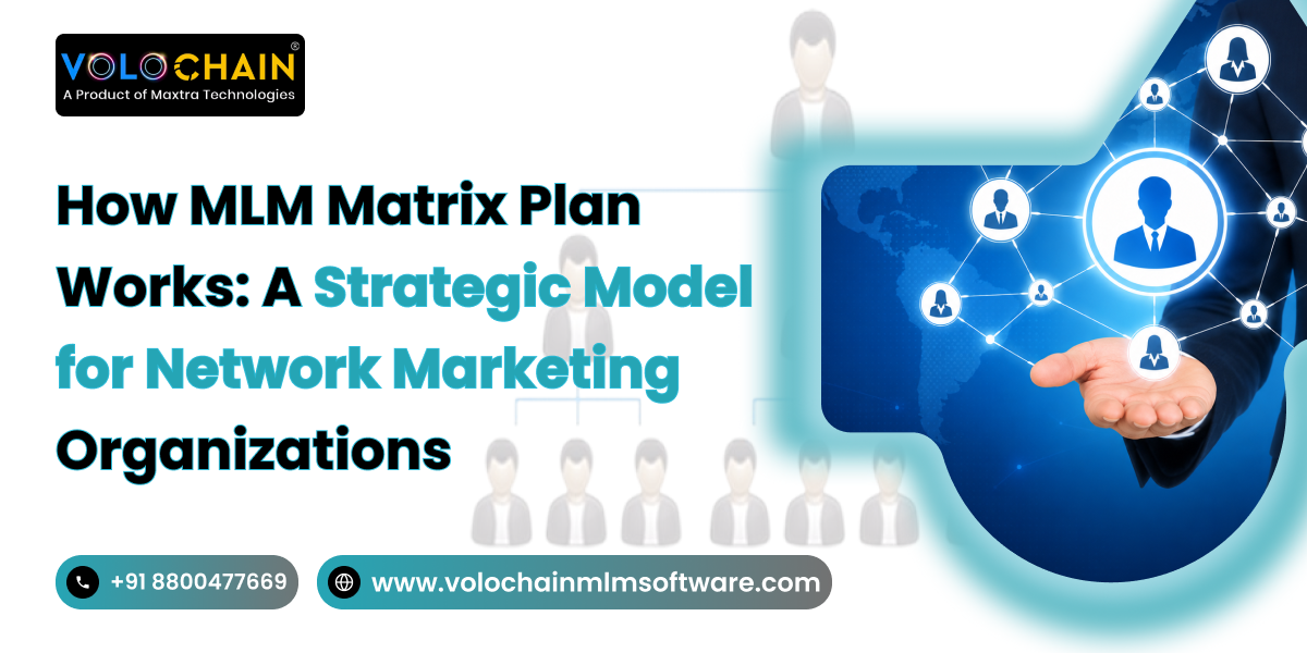 How MLM Matrix Plan Works: A Strategic Model for Network Marketing Organizations