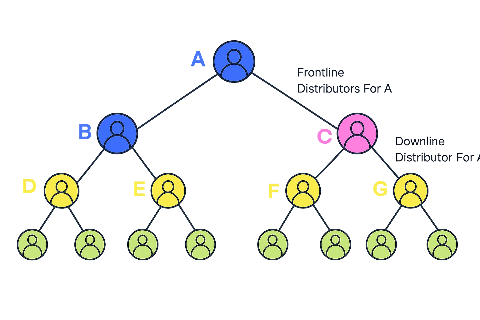 Binary MLM Software Designed for the Binary Compensation Plan